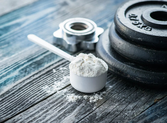 The Power of Creatine Monohydrate